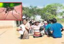 Dengue: Aspectos epidemiológicos, clínicos y de control